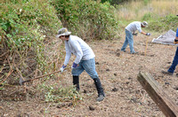ecology-corps_20120719sd